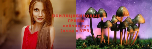 спайс Няндома