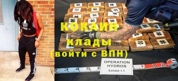 винт Осинники