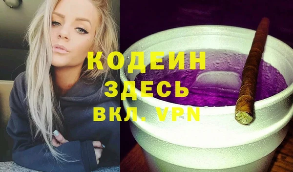 спайс Няндома