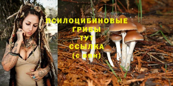 винт Осинники