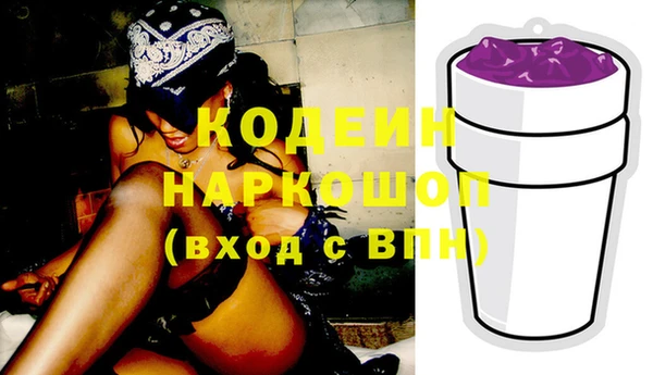 спайс Няндома