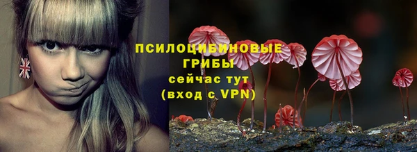 PSILOCYBIN Осташков